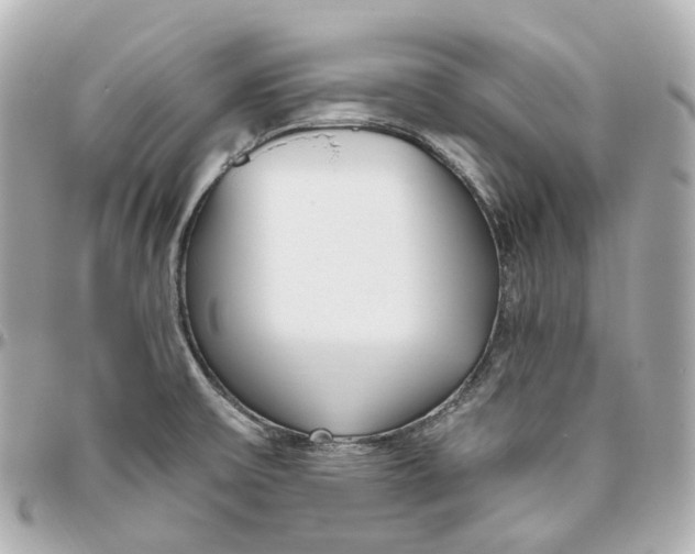 X0000095921475200802011202