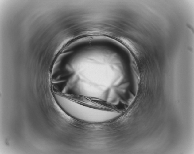 X0000095921476200802011202