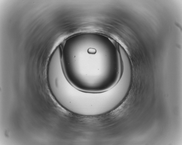 X0000095921477200802011202