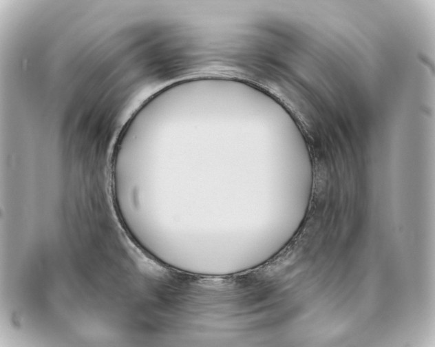 X0000095921478200802011202