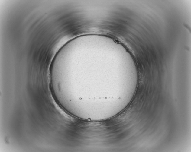 X0000095921479200802011202