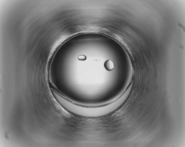 X0000095921480200802011202