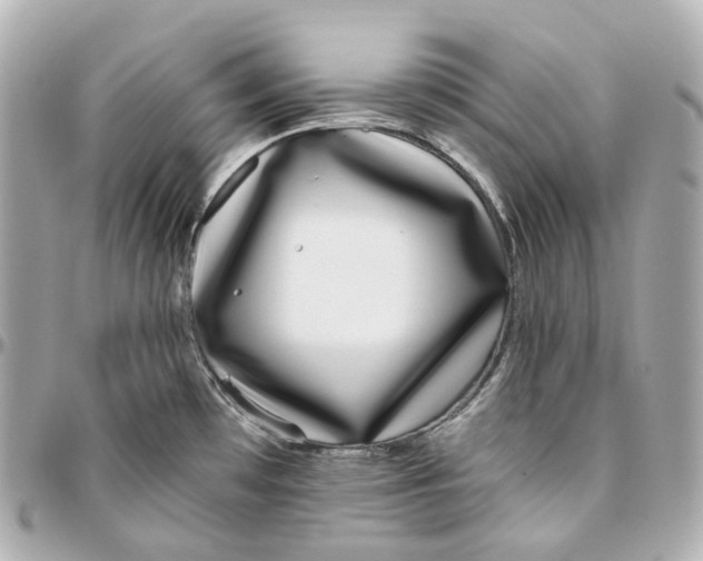 X0000095921481200802011202