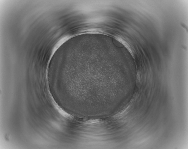 X0000095921482200802011202