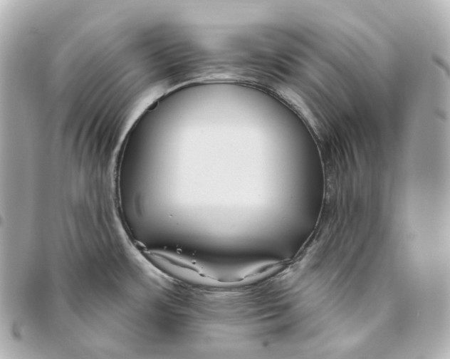 X0000095921483200802011202