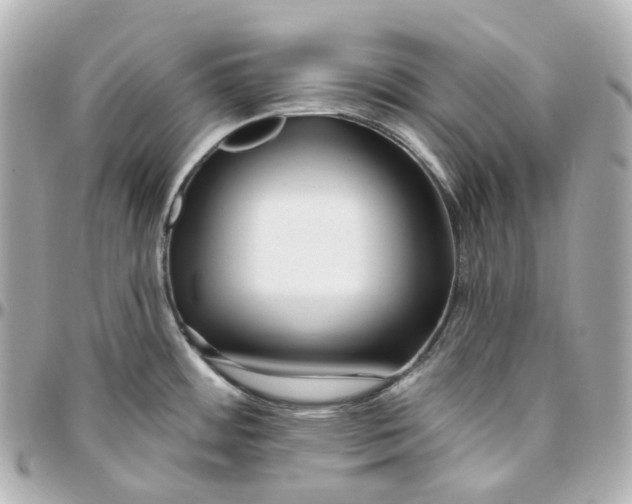 X0000095921484200802011202