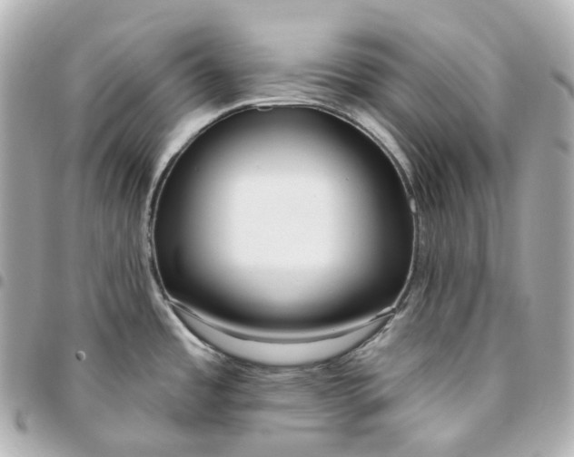 X0000095921485200802011202