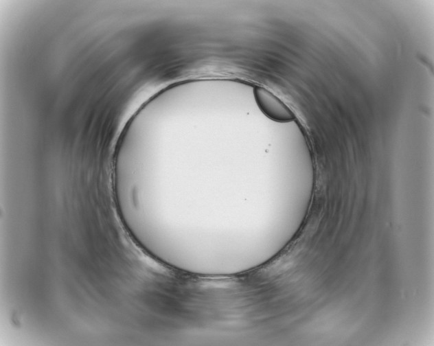 X0000095921486200802011202