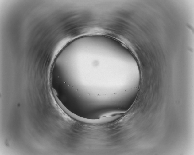 X0000095921488200802011202