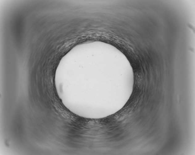 X0000095921489200802011201