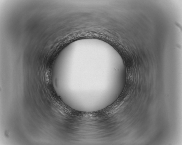 X0000095921490200802011201