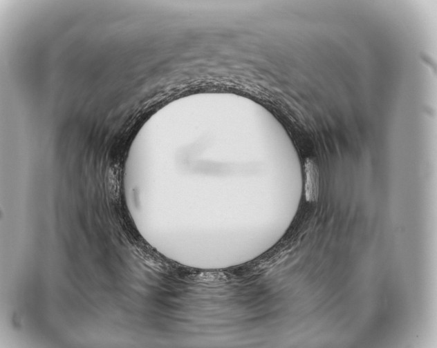 X0000095921491200802011201