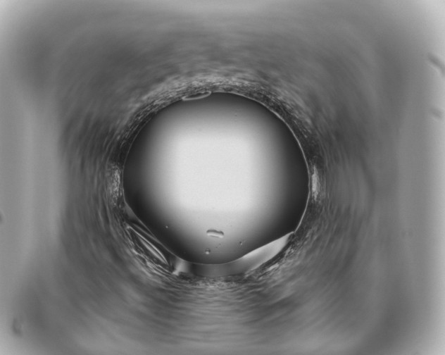 X0000095921492200802011201