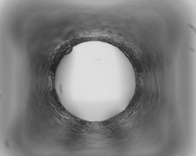 X0000095921493200802011201