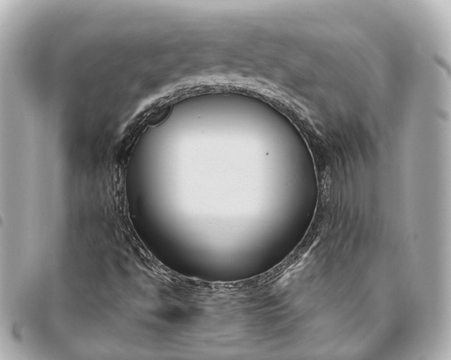 X0000095921494200802011201