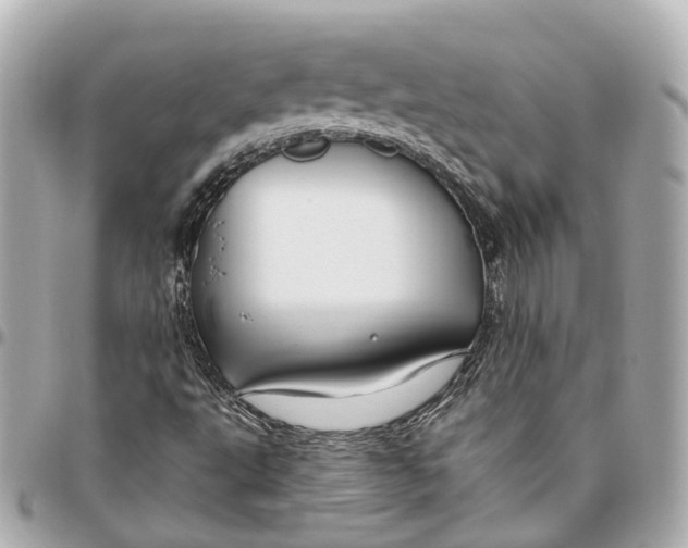 X0000095921495200802011201