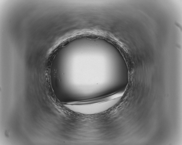 X0000095921496200802011201