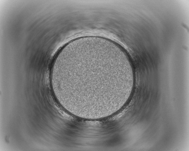 X0000095921498200802011201