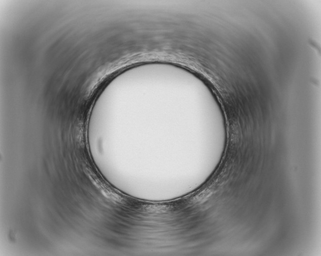 X0000095921499200802011201