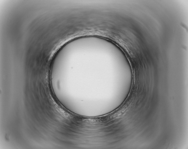 X0000095921500200802011201