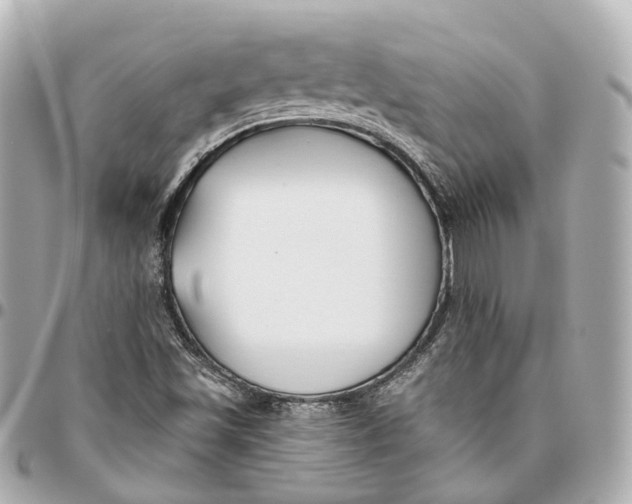 X0000095921501200802011201