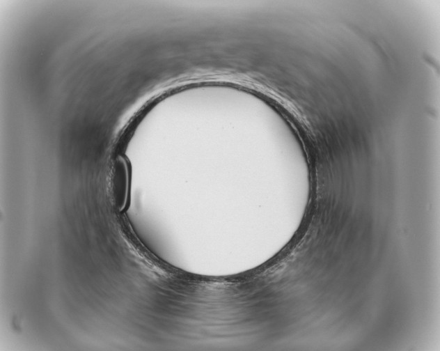 X0000095921502200802011201