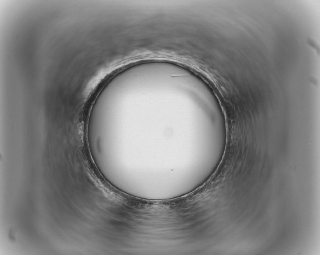 X0000095921503200802011201