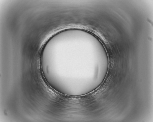 X0000095921504200802011201