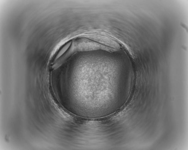 X0000095921506200802011201