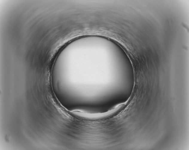 X0000095921507200802011201