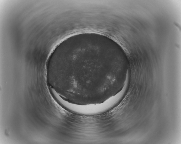 X0000095921508200802011201