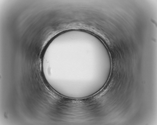 X0000095921509200802011201