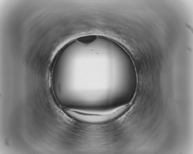 X0000095921510200802011201