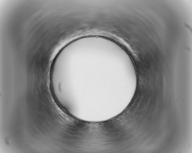 X0000095921512200802011201