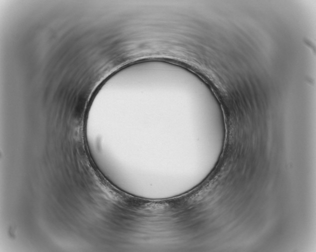 X0000095921513200802011201