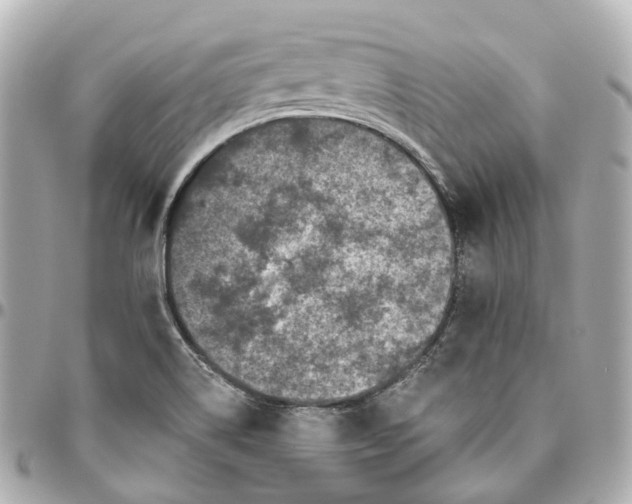 X0000095921514200802011201