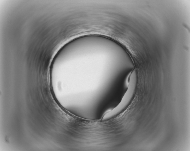 X0000095921516200802011201