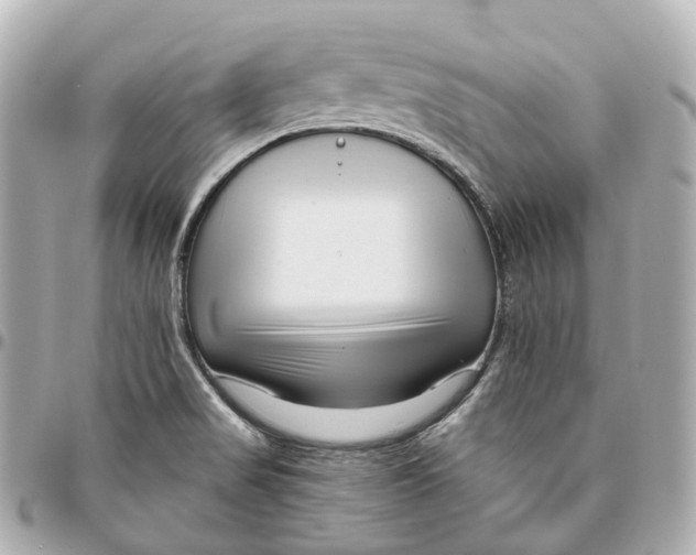 X0000095921517200802011201