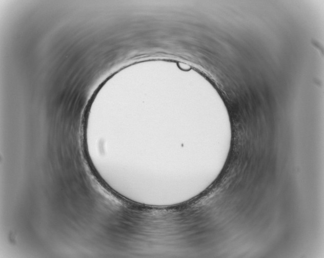 X0000095921518200802011201