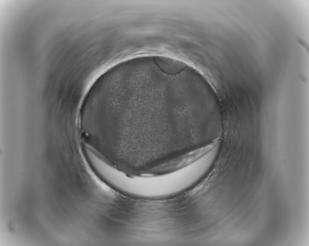 X0000095921519200802011201