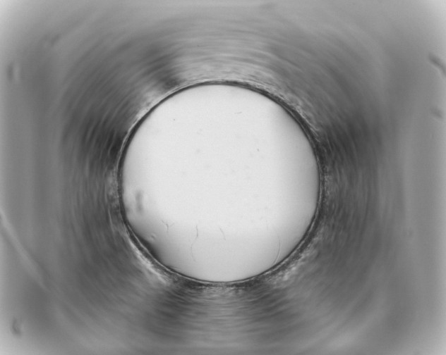 X0000095921521200802011201