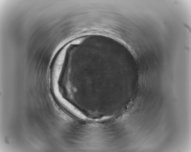 X0000095921522200802011201