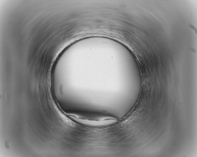 X0000095921523200802011201