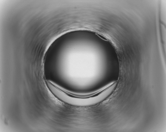 X0000095921524200802011201