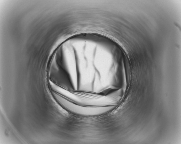 X0000095921525200802011201