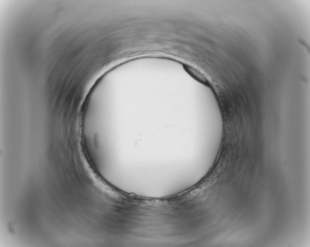 X0000095921526200802011201