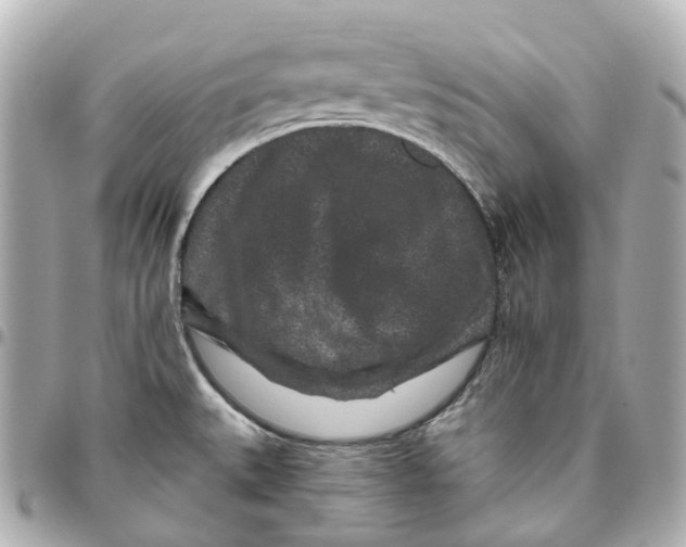 X0000095921527200802011201