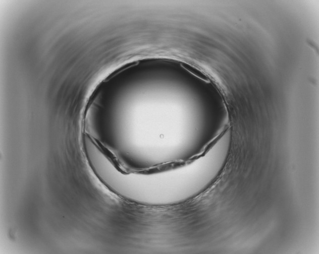 X0000095921528200802011201