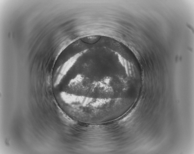 X0000095921529200802011202