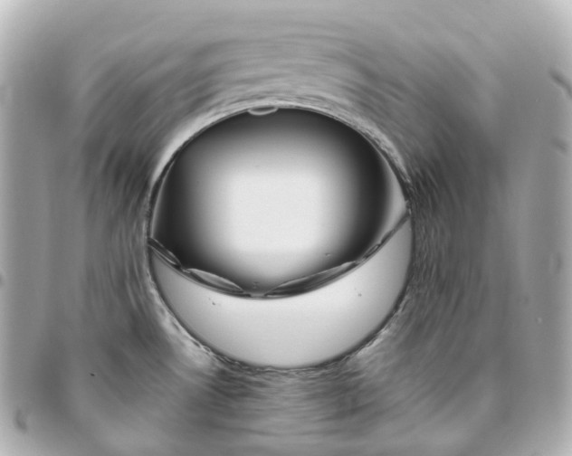 X0000095921530200802011202